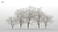 100 + 100 alberi comuni