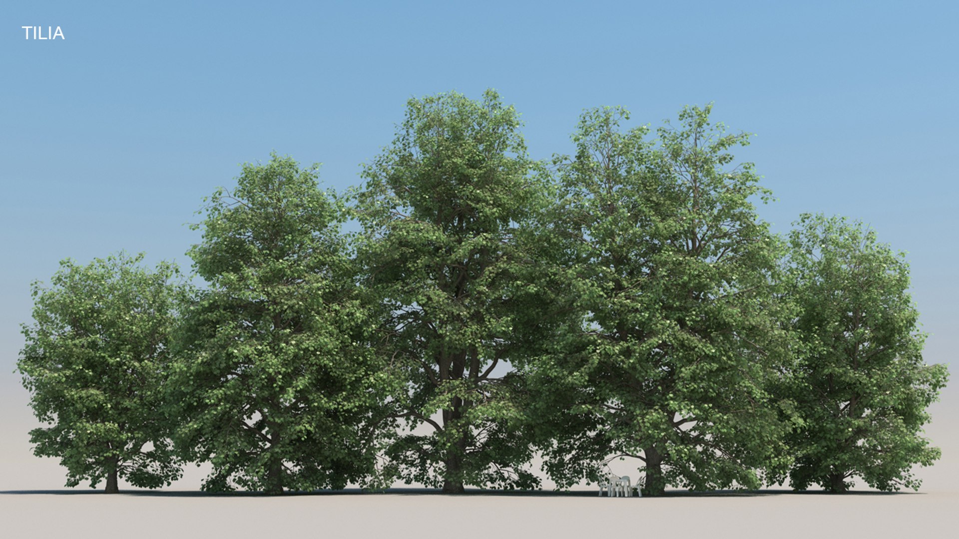 100 trees 3d max https://p.turbosquid.com/ts-thumb/83/rMdV4a/lk/tiliasmr/jpg/1666606274/1920x1080/fit_q87/ecb254d82fd7c9beb780db960404569281e10680/tiliasmr.jpg