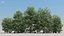 100 + 100 alberi comuni