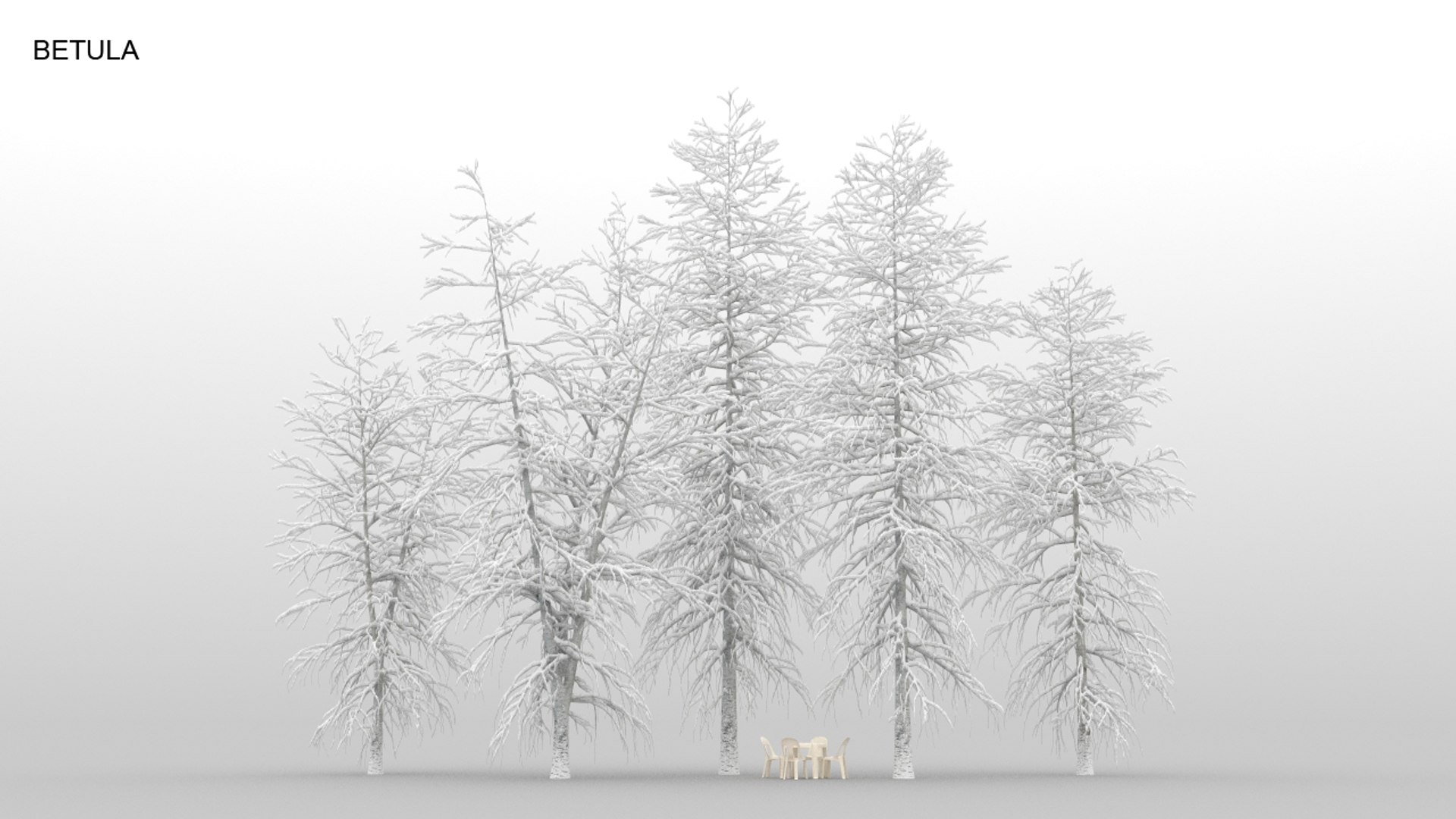 100 trees 3d max https://p.turbosquid.com/ts-thumb/83/rMdV4a/nI/betulawnt/jpg/1666605929/1920x1080/fit_q87/15cb031209657c41b9bdcf03a0bd9eac5e155c73/betulawnt.jpg