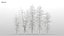 100 + 100 alberi comuni