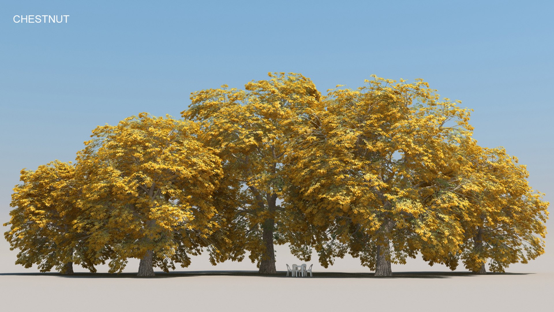 100 trees 3d max https://p.turbosquid.com/ts-thumb/83/rMdV4a/nW/chestnutaut/jpg/1666607876/1920x1080/fit_q87/76a1d1c67fad704c51ac6debcec45e44d8089e06/chestnutaut.jpg