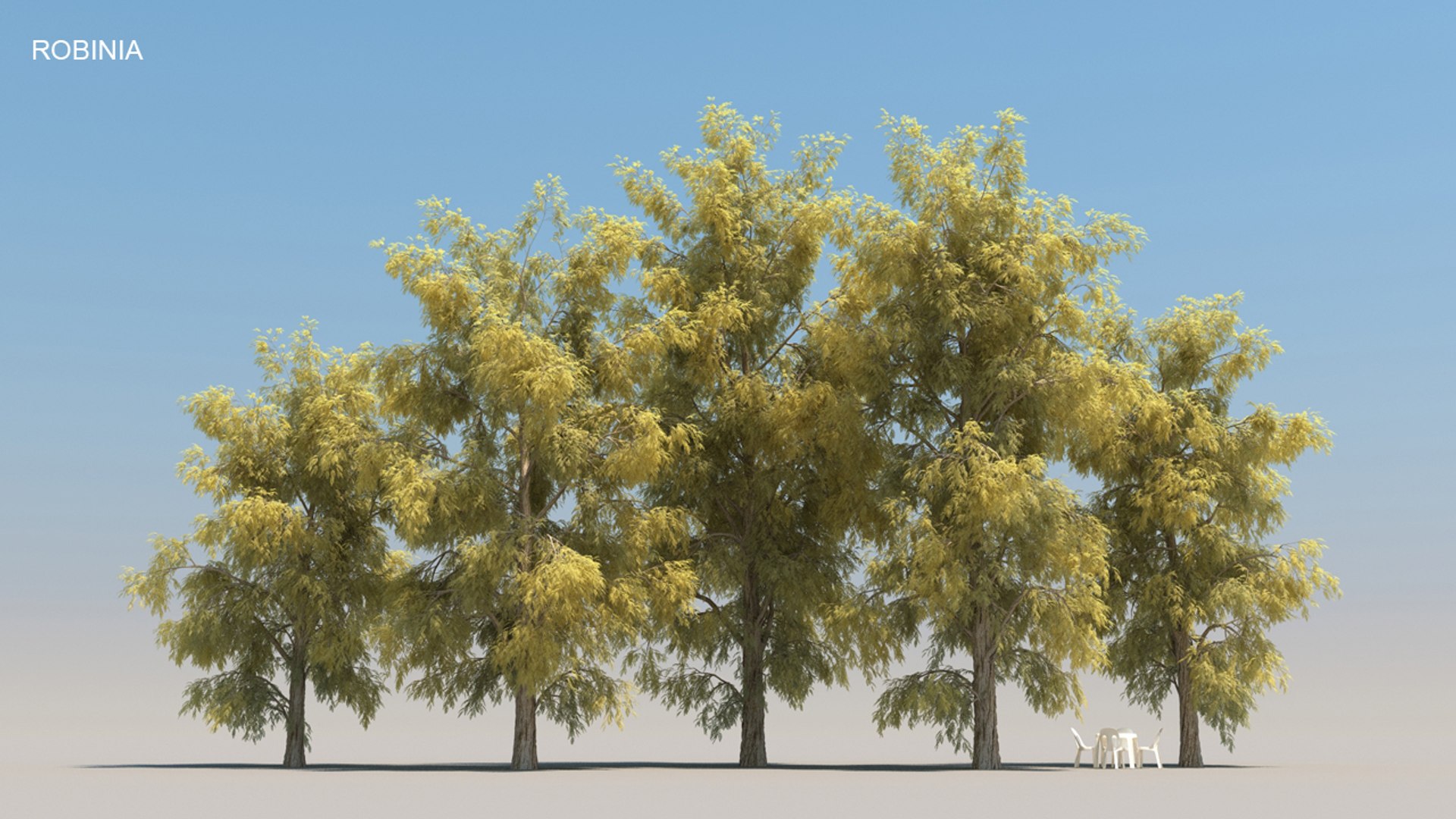 100 trees 3d max https://p.turbosquid.com/ts-thumb/83/rMdV4a/qq/robiniaaut/jpg/1666606255/1920x1080/fit_q87/80a37666d30975fadcdb4895efedd38cfe074dfa/robiniaaut.jpg