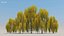 100 + 100 alberi comuni