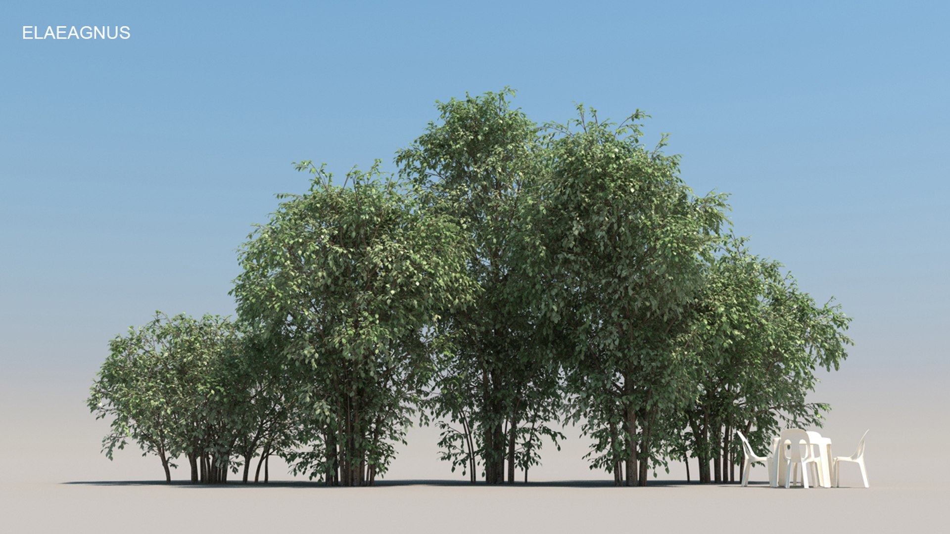 100 trees 3d max https://p.turbosquid.com/ts-thumb/83/rMdV4a/tR/elaeagnussmr/jpg/1666607813/1920x1080/fit_q87/fe23632db0347967cc88edce80fcd1356b9eca8b/elaeagnussmr.jpg