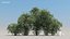 100 + 100 alberi comuni
