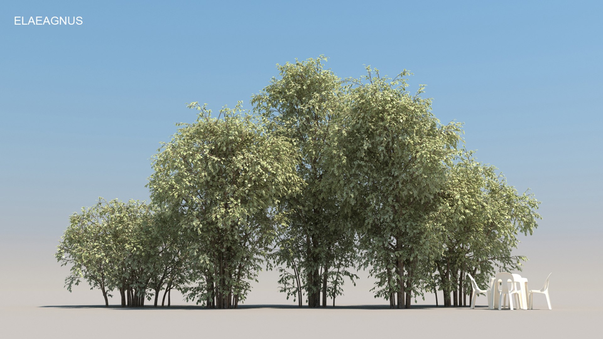 100 trees 3d max https://p.turbosquid.com/ts-thumb/83/rMdV4a/uA/elaeagnusaut/jpg/1666607840/1920x1080/fit_q87/d70bbdde1bd9098a3a5ad1e03788f8fd74b0c21c/elaeagnusaut.jpg