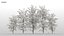 100 + 100 alberi comuni