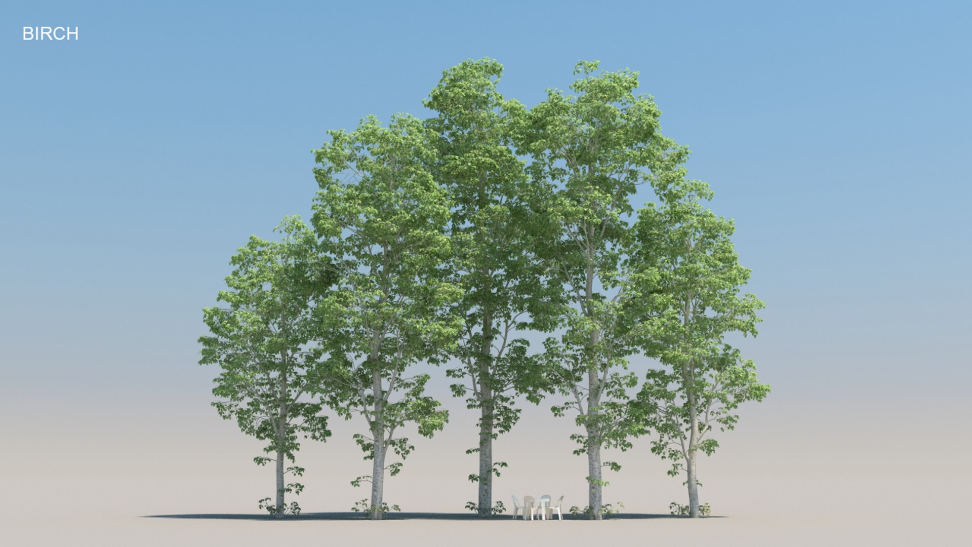 100 trees 3d max https://p.turbosquid.com/ts-thumb/83/rMdV4a/yT/birchsmr/jpg/1666607994/1920x1080/fit_q87/4d261f95432daacfa893bbf7d7742c645f2f359d/birchsmr.jpg