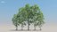 100 + 100 alberi comuni