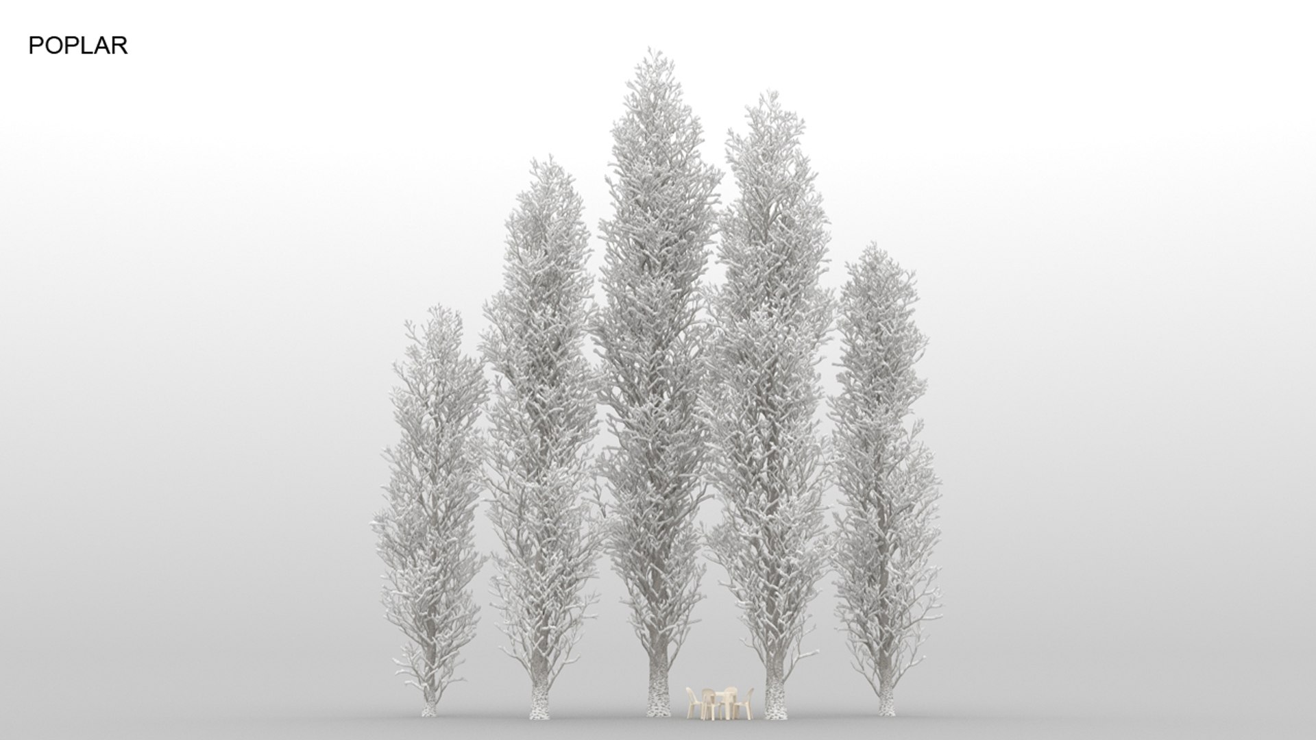 100 trees 3d max https://p.turbosquid.com/ts-thumb/83/rMdV4a/yd/poplarwnt/jpg/1666608113/1920x1080/fit_q87/f362c6ae8eedbc4ce47243b13da063fb2dc578ac/poplarwnt.jpg