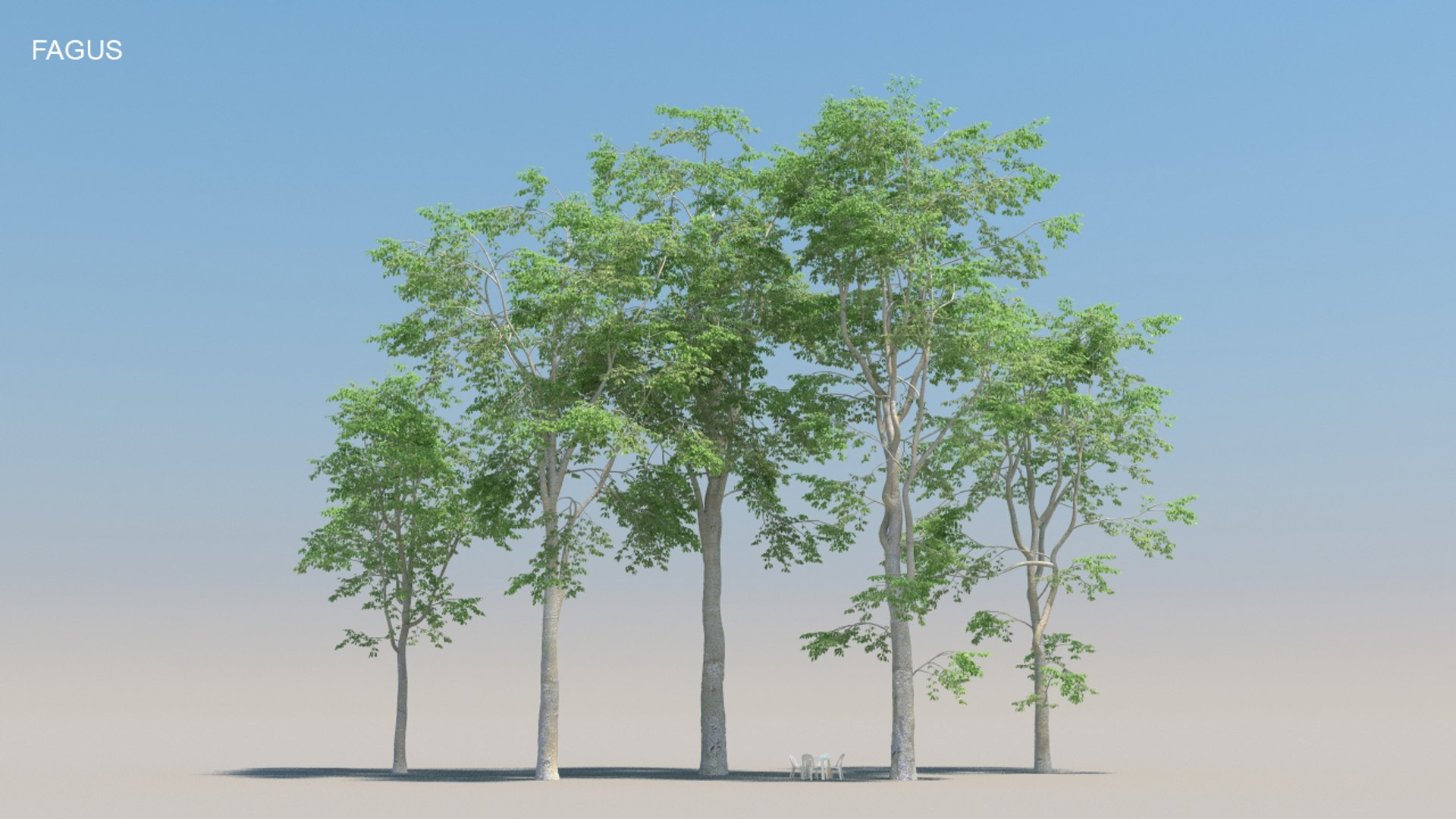 100 trees 3d max https://p.turbosquid.com/ts-thumb/83/rMdV4a/zA/fagussmr/jpg/1666607757/1920x1080/fit_q87/2b6b35851158de215a6b8d197e9d45798773ef9b/fagussmr.jpg