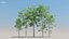 100 + 100 alberi comuni