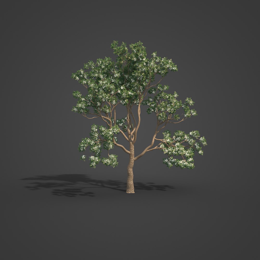 3D 2021 PBR Marri Collection - Corymbia Calophylla model https://p.turbosquid.com/ts-thumb/84/3c9JVX/BZ/oc47_all_rbt_v01_1002/jpg/1626883012/1920x1080/fit_q87/3059ea8cdb499ed57c40ed821a40eeb01ea27e0a/oc47_all_rbt_v01_1002.jpg