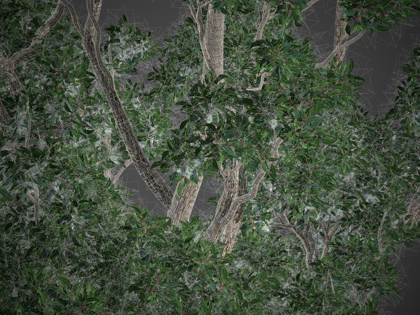 3D 2021 PBR Marri Collection - Corymbia Calophylla model https://p.turbosquid.com/ts-thumb/84/3c9JVX/X8/screenshot024/jpg/1626883032/1920x1080/fit_q87/8431ac5700f803b753bab48055b4aac50e1022cd/screenshot024.jpg
