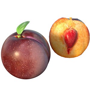 Plum fruit 3D model