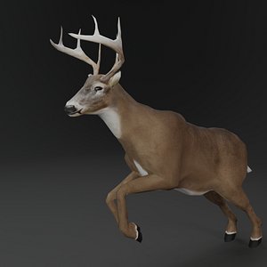 Animated Low-Poly Deer