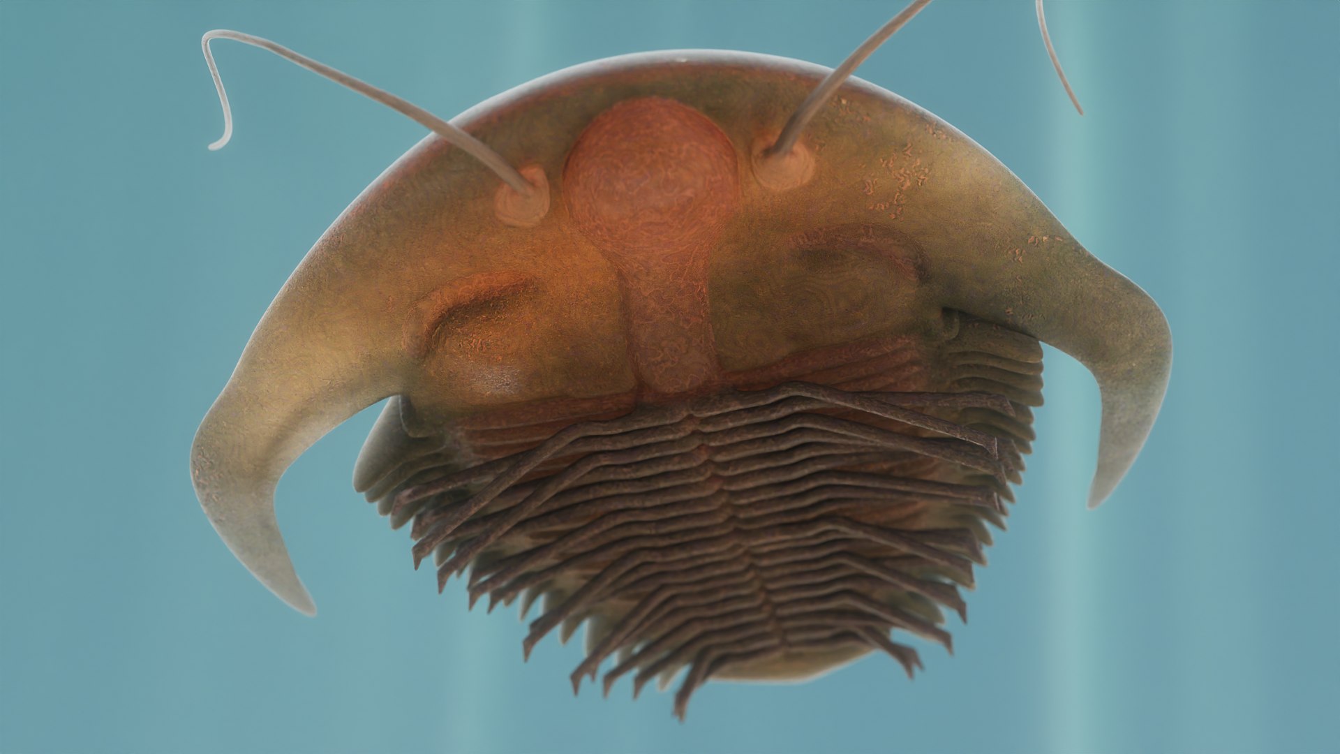 Trilobite 3D model https://p.turbosquid.com/ts-thumb/84/ITtBSe/B3/5/png/1735364264/1920x1080/fit_q87/69cd9d11409930882dbc1d7b3b1e641d20808ebf/5.jpg