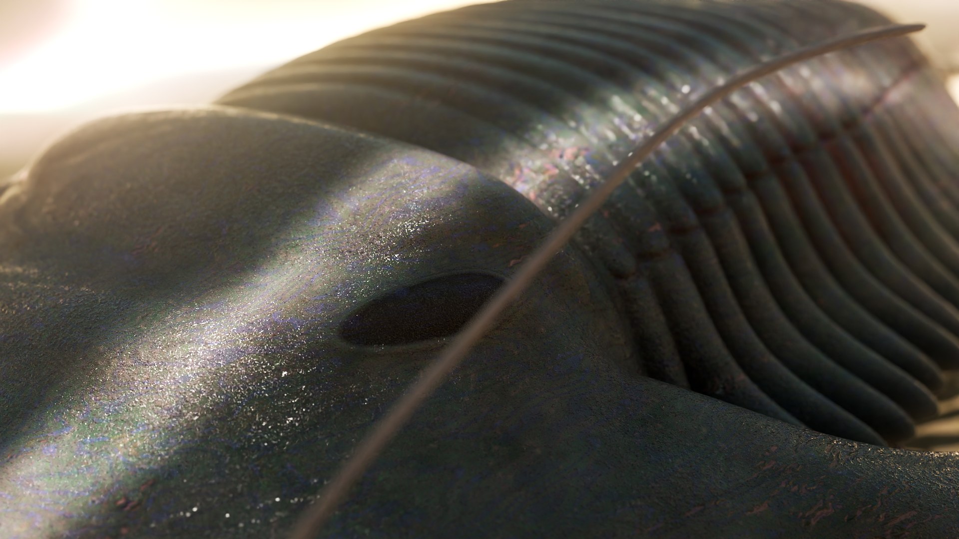 Trilobite 3D model https://p.turbosquid.com/ts-thumb/84/ITtBSe/Mn/10/png/1735364278/1920x1080/fit_q87/37e998f2b00a671fe1e5f083ef9b668a06d4f833/10.jpg