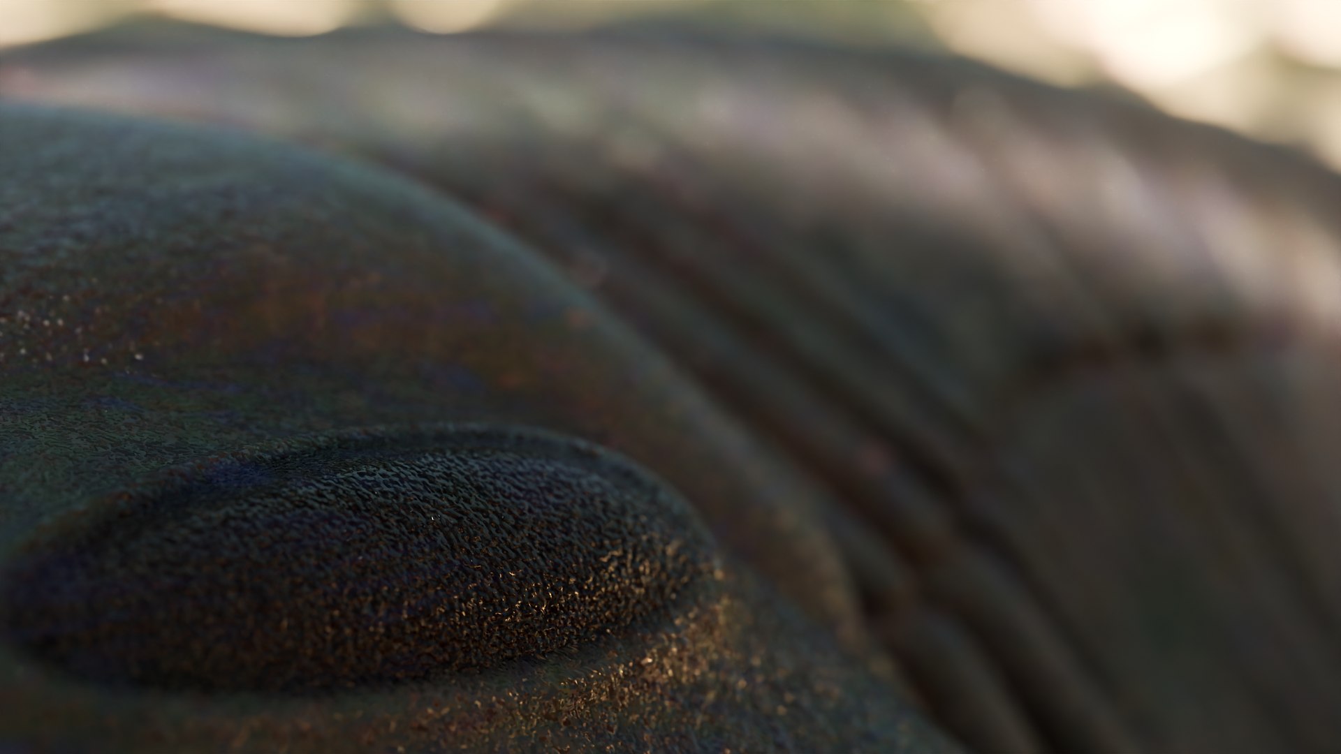 Trilobite 3D model https://p.turbosquid.com/ts-thumb/84/ITtBSe/T9/4/png/1735364270/1920x1080/fit_q87/a8bfcf2aaa245c746dc42420d5c4be0ccdc52d01/4.jpg