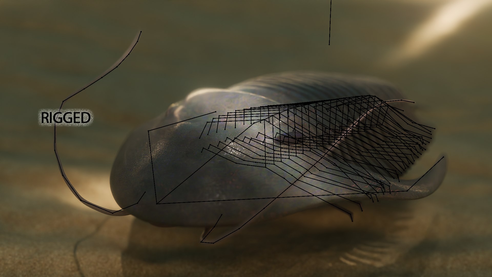 Trilobite 3D model https://p.turbosquid.com/ts-thumb/84/ITtBSe/TU/rig/png/1735364278/1920x1080/fit_q87/dcfef5a82eddccd1d5fefccd3e8acc25231af7c9/rig.jpg