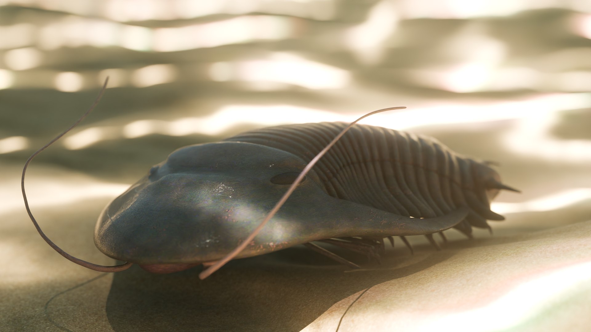 Trilobite 3D model https://p.turbosquid.com/ts-thumb/84/ITtBSe/Xu/8/png/1735364274/1920x1080/fit_q87/4d4f67aa8042eeb0ab6f7f86252a5d8e600b1139/8.jpg