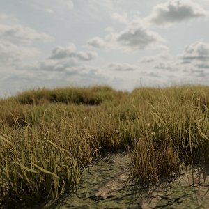 3D Grass Field model