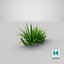 Cartoon Grass 04 3D model