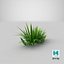 Cartoon Grass 04 3D model
