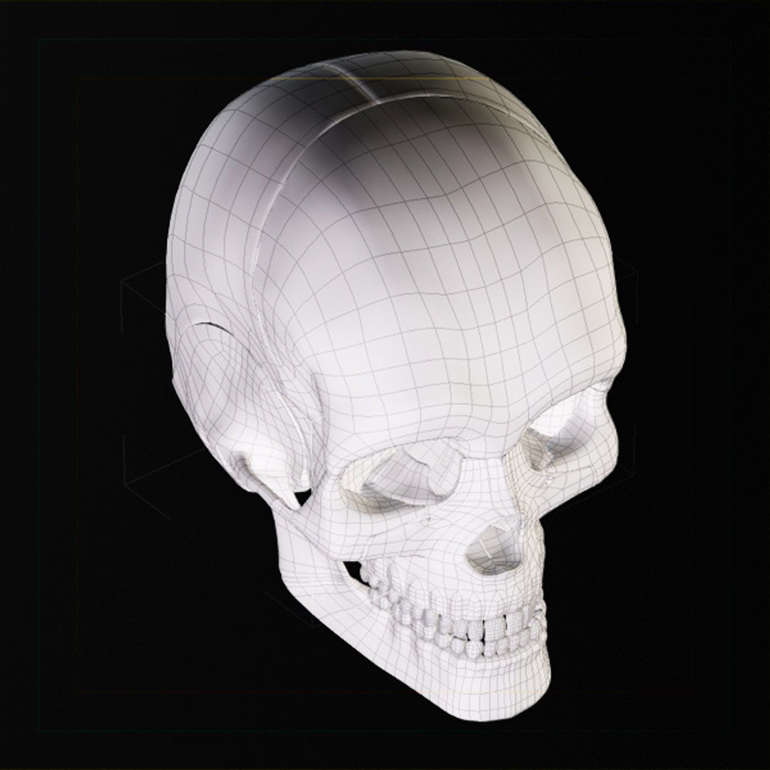 skull bone 3d max https://p.turbosquid.com/ts-thumb/84/gzKrS0/A4INL4DE/sk_992/jpg/1290794918/1920x1080/fit_q87/3bb18d4e975fdd292a911ab2eac987840baaca72/sk_992.jpg