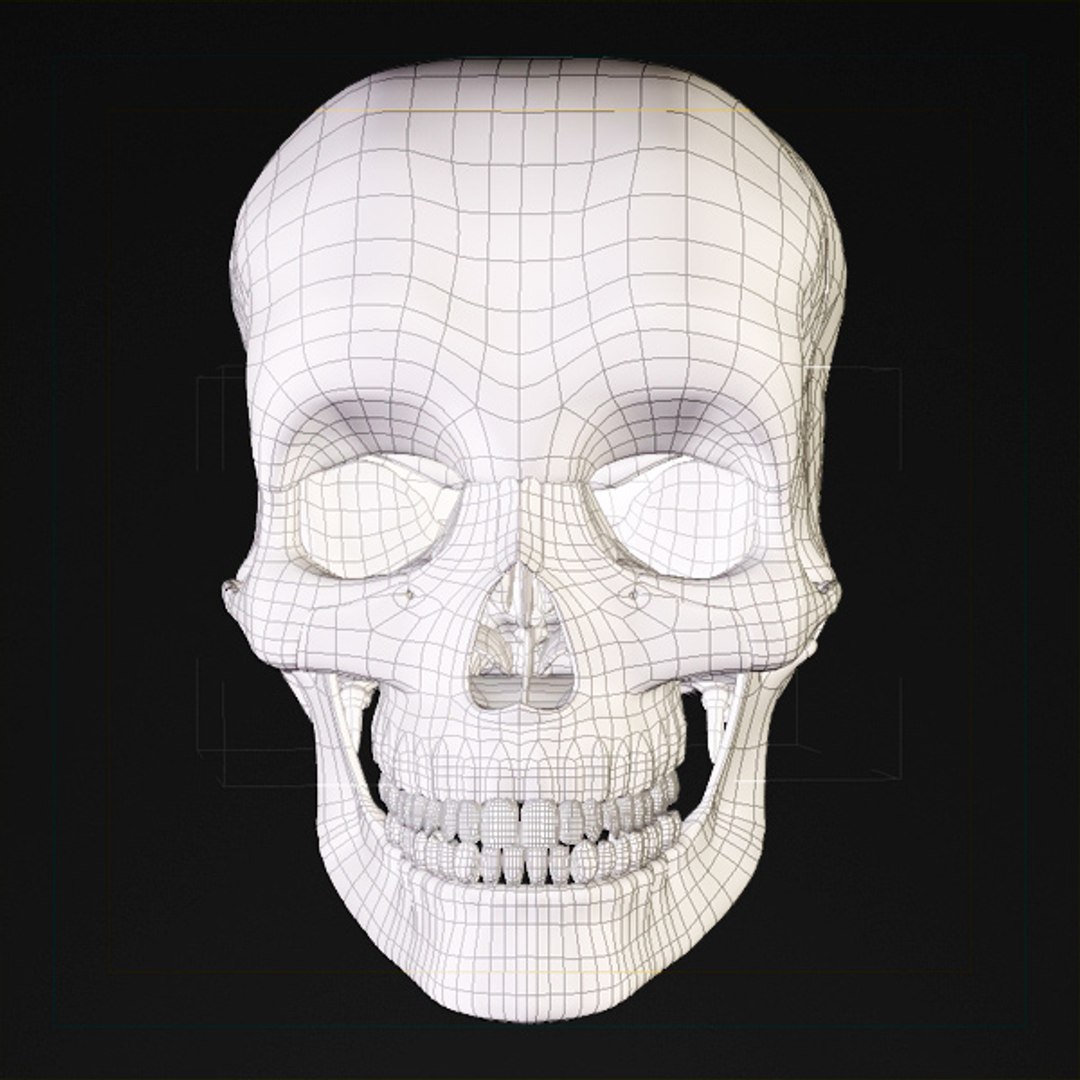 skull bone 3d max https://p.turbosquid.com/ts-thumb/84/gzKrS0/BDjNpiO2/sk_97/jpg/1290794918/1920x1080/fit_q87/45c98cb88b5ce7dc0e81fb991d2f8ccb3c7baf19/sk_97.jpg