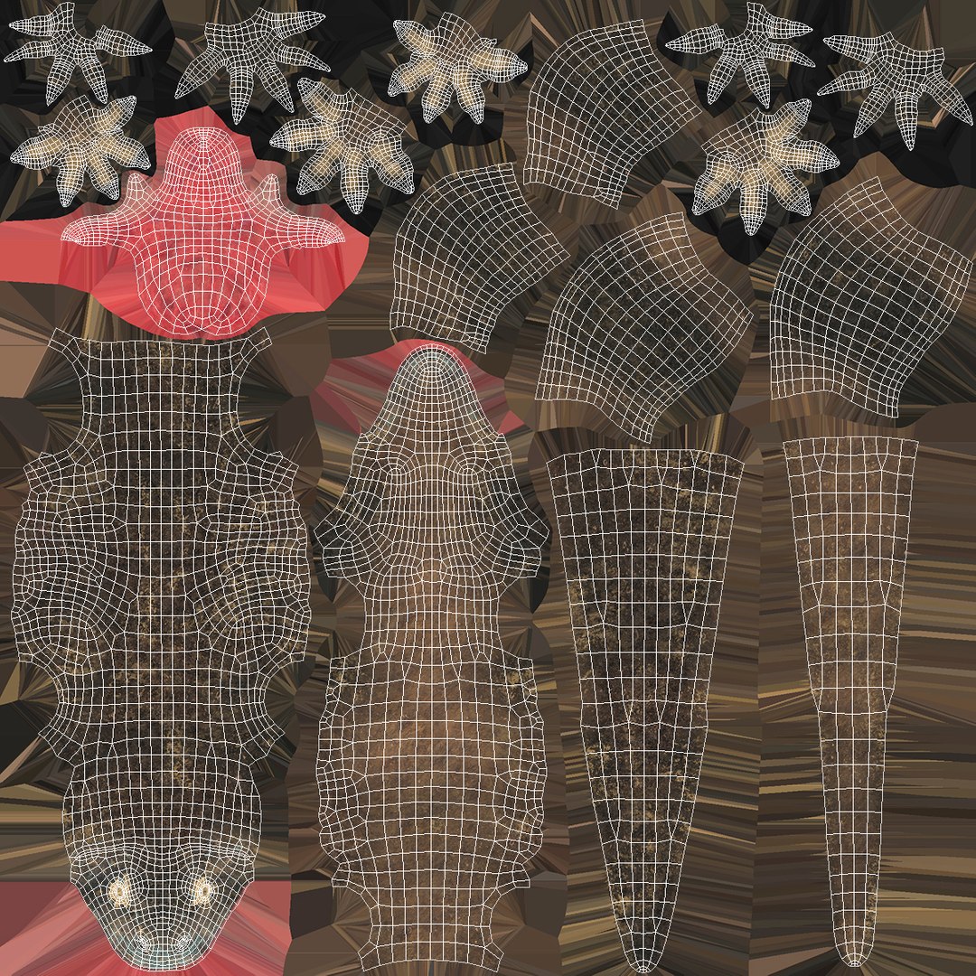 komodo dragon rigged 3D model https://p.turbosquid.com/ts-thumb/84/kpTgPU/FZjQwACJ/komododragonrigged3dsmodel018/jpg/1549704970/1920x1080/fit_q87/fd55d031085e64d12375d32b1023acb99b278a50/komododragonrigged3dsmodel018.jpg