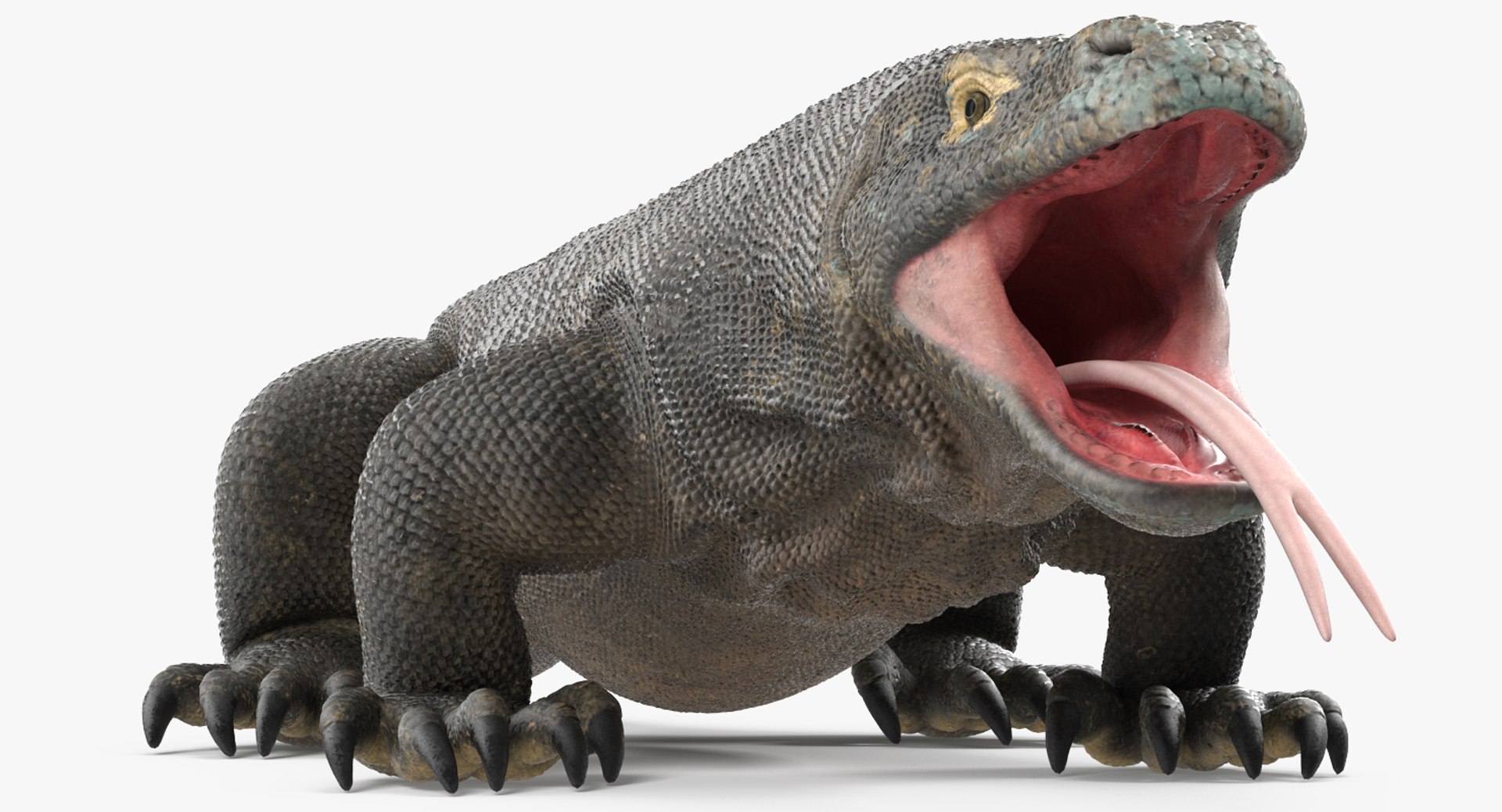 komodo dragon rigged 3D model https://p.turbosquid.com/ts-thumb/84/kpTgPU/URqkjh9R/komododragonrigged3dsmodel006/jpg/1549704924/1920x1080/fit_q87/bc3c41e600bca2f99e3ccc89cd2e97a30eaca1b0/komododragonrigged3dsmodel006.jpg