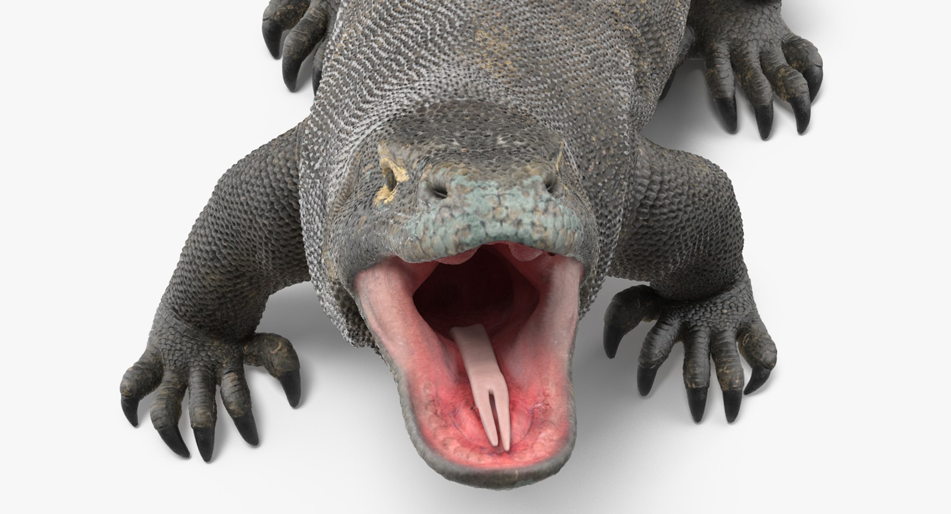 komodo dragon rigged 3D model https://p.turbosquid.com/ts-thumb/84/kpTgPU/VBO3L47J/komododragonrigged3dsmodel013/jpg/1549704950/1920x1080/fit_q87/3ad5d5bf3365db0f2dff4b930972ba656018123b/komododragonrigged3dsmodel013.jpg
