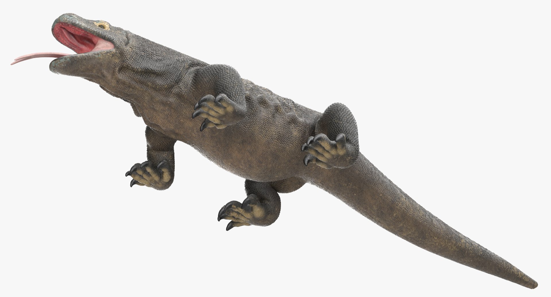 komodo dragon rigged 3D model https://p.turbosquid.com/ts-thumb/84/kpTgPU/fQ6YZqIl/komododragonrigged3dsmodel012/jpg/1549704946/1920x1080/fit_q87/4eadb9b53d6291c253413c59f4830888eb34a339/komododragonrigged3dsmodel012.jpg