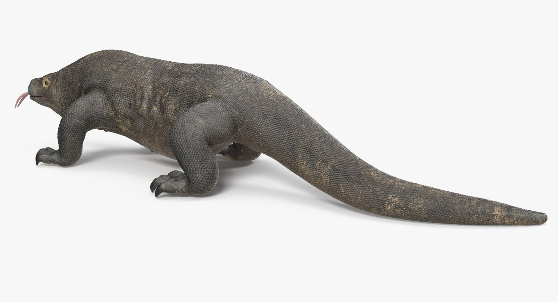 komodo dragon rigged 3D model https://p.turbosquid.com/ts-thumb/84/kpTgPU/qhE9zseI/komododragonrigged3dsmodel009/jpg/1549704935/1920x1080/fit_q87/706e4dde43b1433df8fe19fbb572dd753773b1ea/komododragonrigged3dsmodel009.jpg