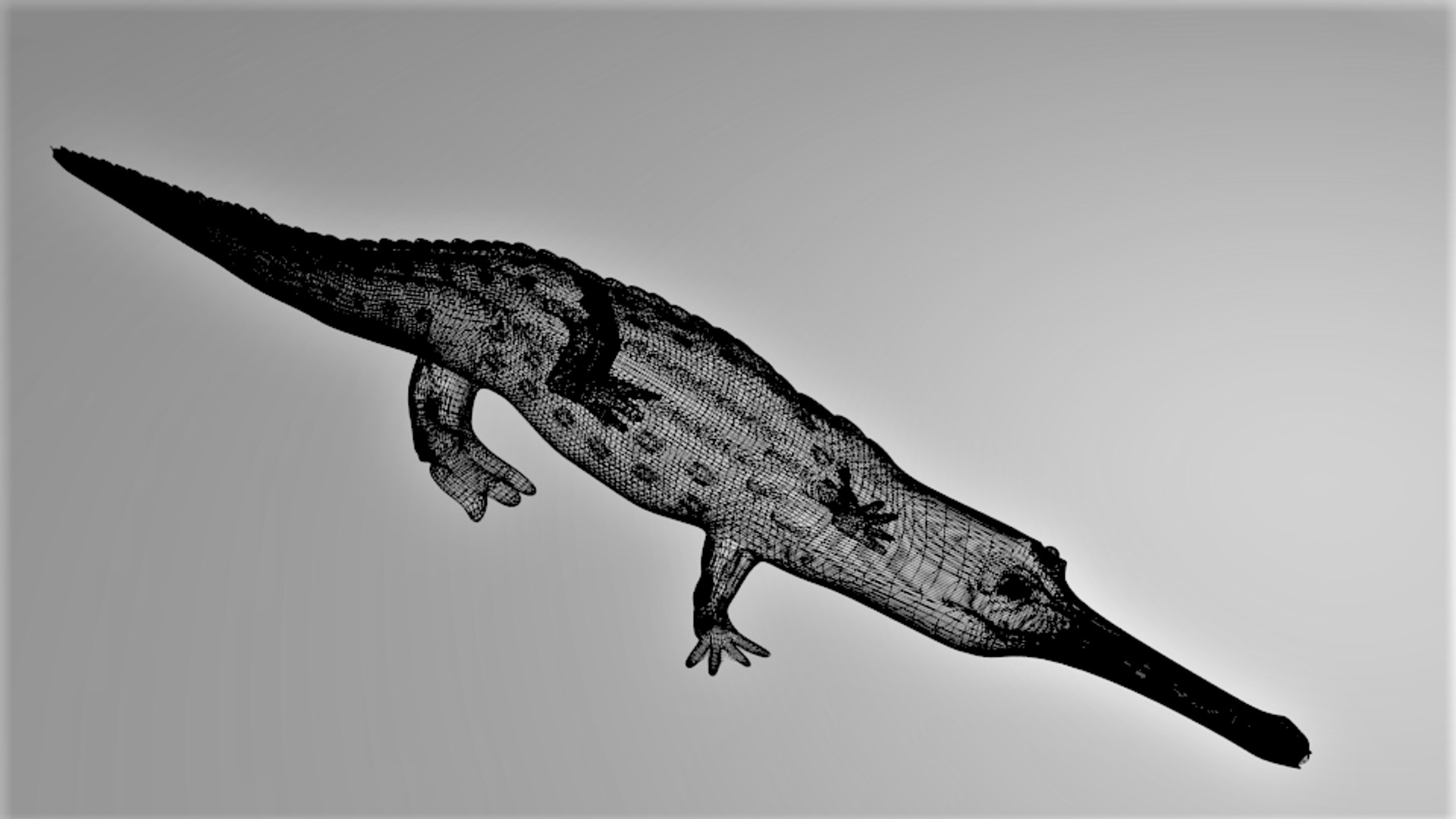 3D gharial https://p.turbosquid.com/ts-thumb/84/mrccPs/N5u4SY7Y/wireframe_2/png/1600233779/1920x1080/fit_q87/b8962ca57a19904629e6a930c41cd1f18dbc16fa/wireframe_2.jpg