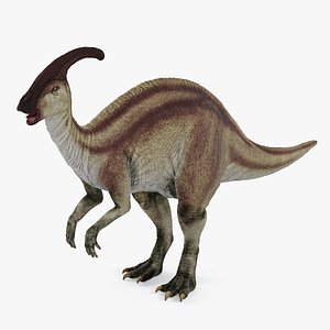 3D Parasaurolophus Dinosaur model