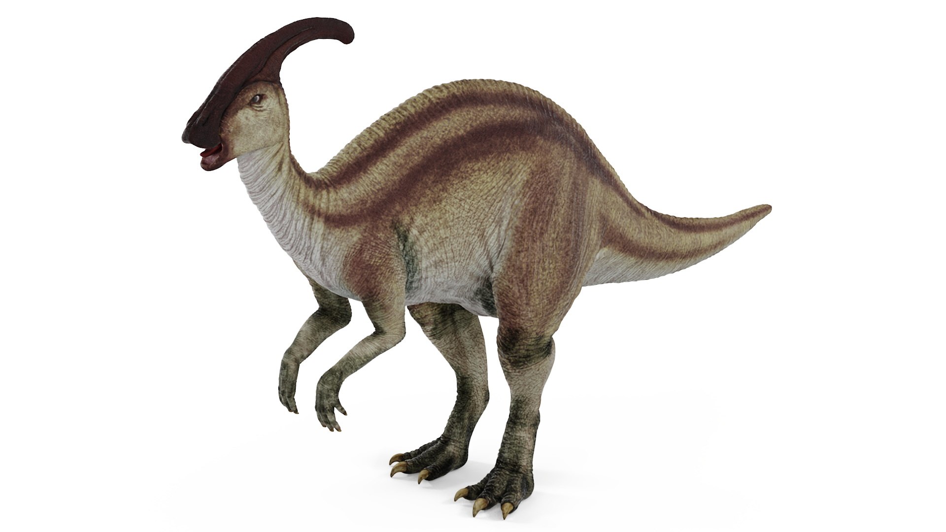 Parasaurolophus Dinosaur 3D model preview