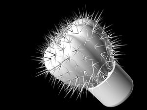plants cactus 3d model