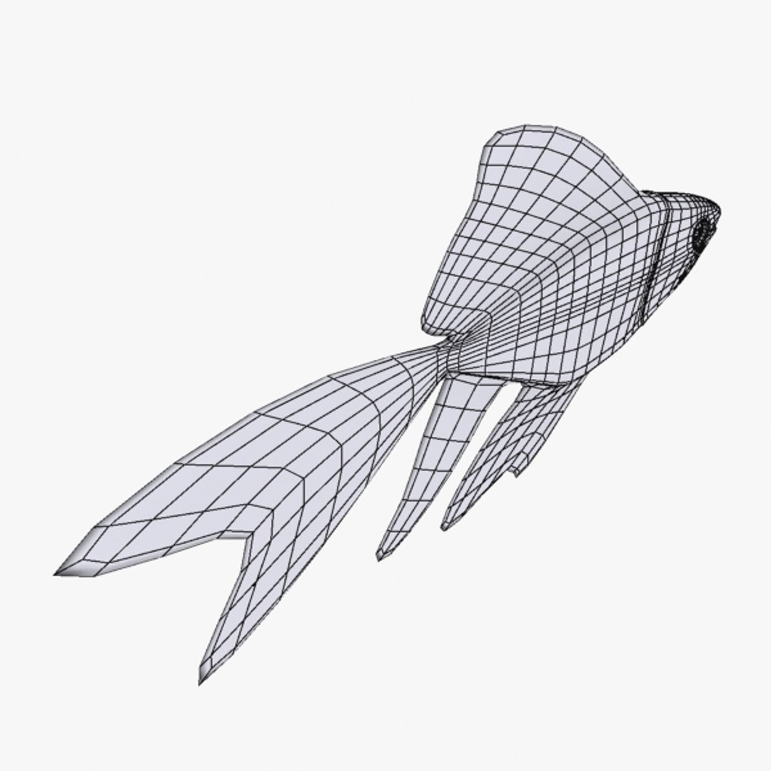 free golden fish 3d model https://p.turbosquid.com/ts-thumb/85/23aP0F/7Ggb4dU7/golden_fish_sc_05/jpg/1374437352/1920x1080/fit_q87/144c4875d84e103dc215ec26e0290b4af44b6e1f/golden_fish_sc_05.jpg
