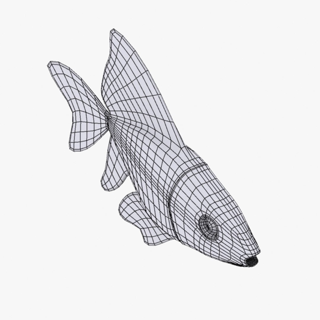 free golden fish 3d model https://p.turbosquid.com/ts-thumb/85/23aP0F/JigBLvI3/golden_fish_sc_06/jpg/1374437360/1920x1080/fit_q87/5b44fa21ee2fd3c9ae352ede7c637e939f8fdd26/golden_fish_sc_06.jpg