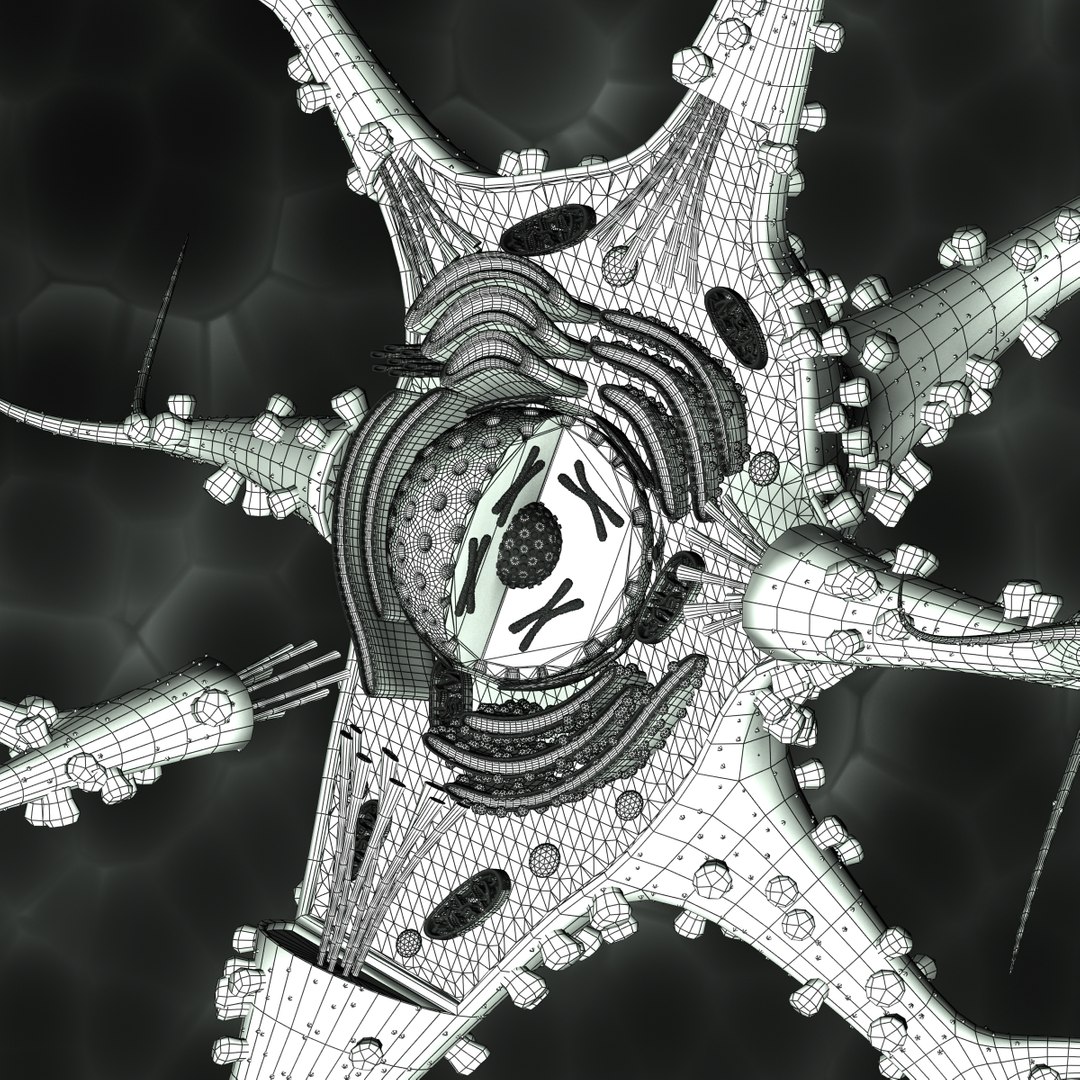 3d Model Neuron Cell