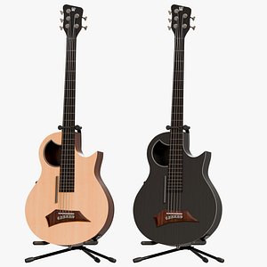 Warwick Alien Acoustic Bass Collection PBR
