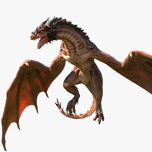 Dragon Rigged