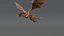 3D Dragon Rigged