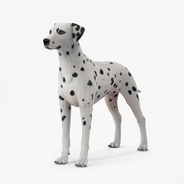 Spotted Dalmatian Dog Fur 3D