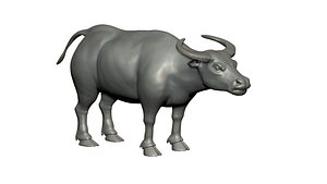 3D Asian buffalo model