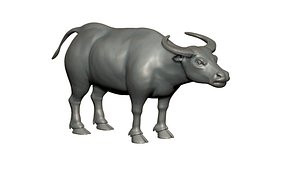 Asian buffalo for 3D printing