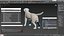 マネキンの前脚と後脚用の犬用圧縮ラップ